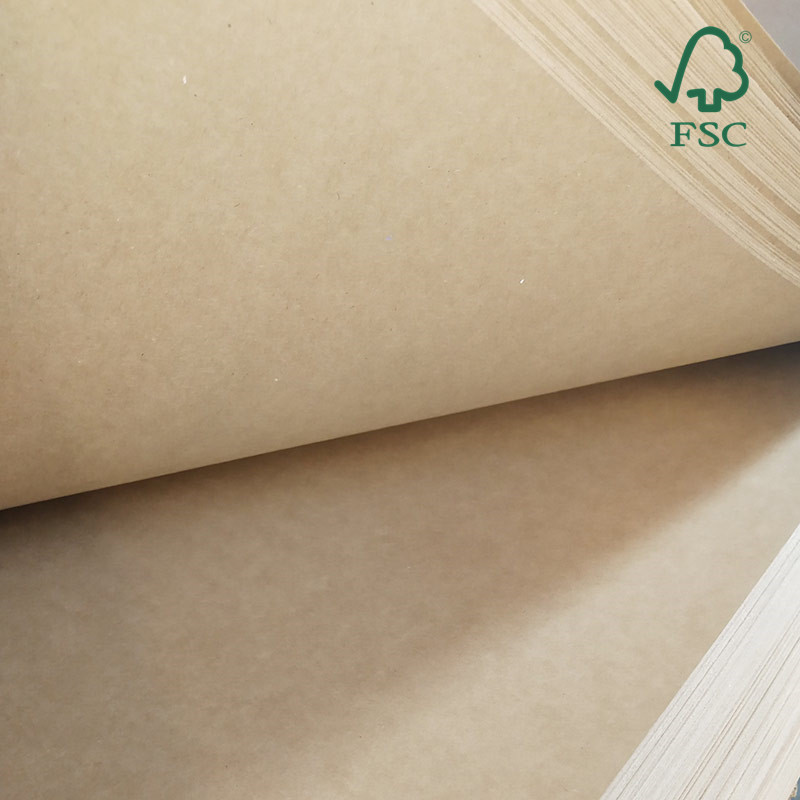 FSC91免费版网站廣泛應用範圍有哪些？